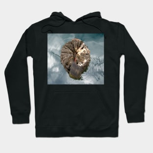 Tree stump, Port Fairy Hoodie